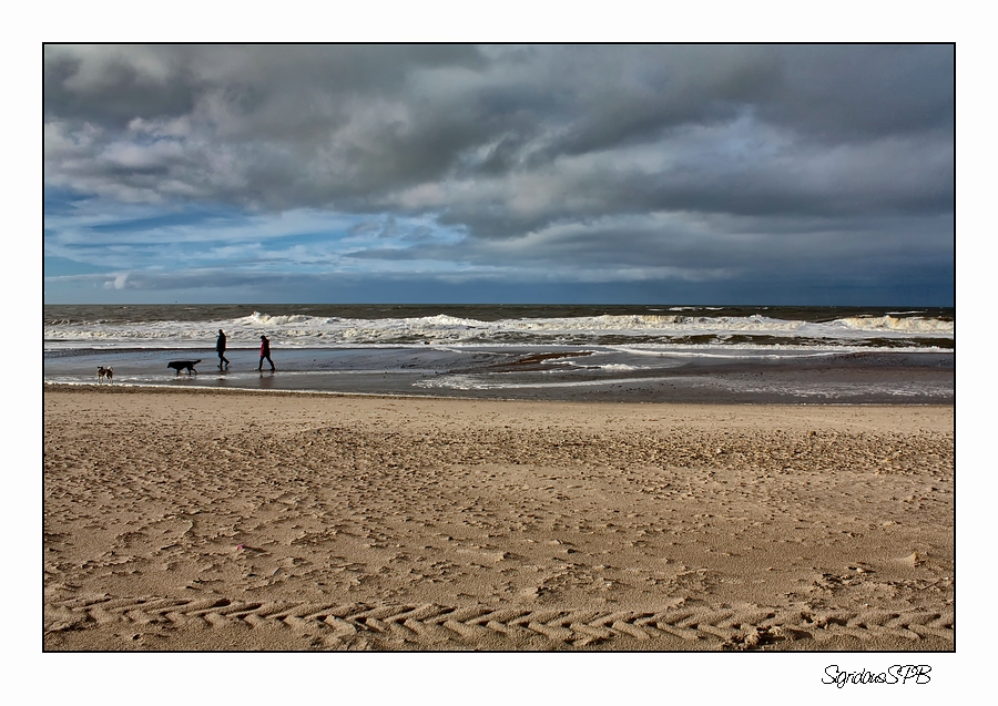 Strandspaziergang an der Nordsee...DK  Bjerregard