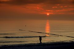 Strandspaziergang auf Hiddensee