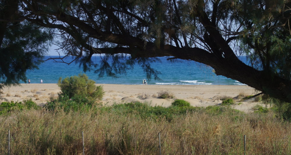 Strandspaziergang auf Kreta