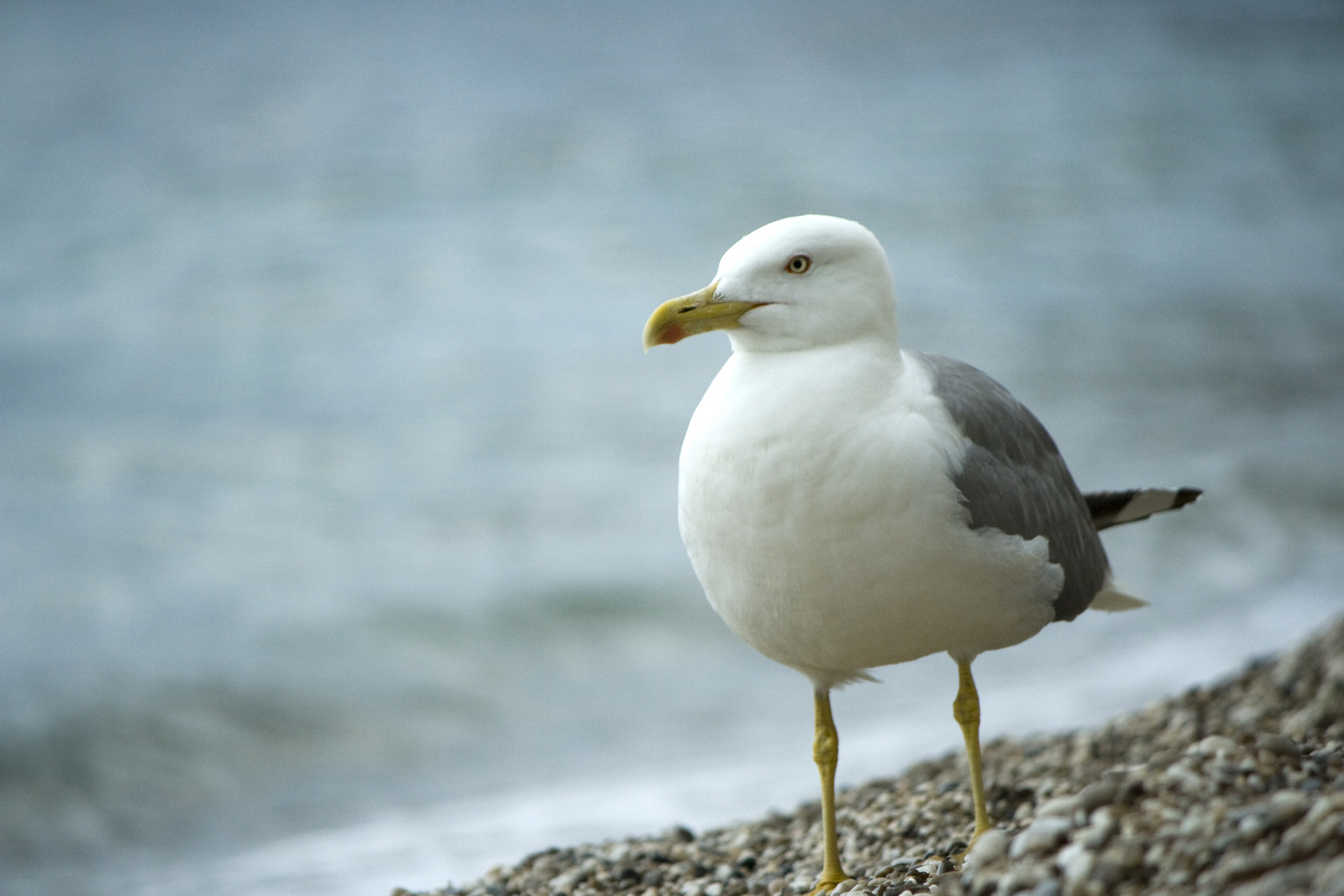 Strandspaziergang