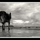 Strandspaziergang