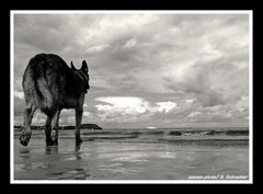 Strandspaziergang