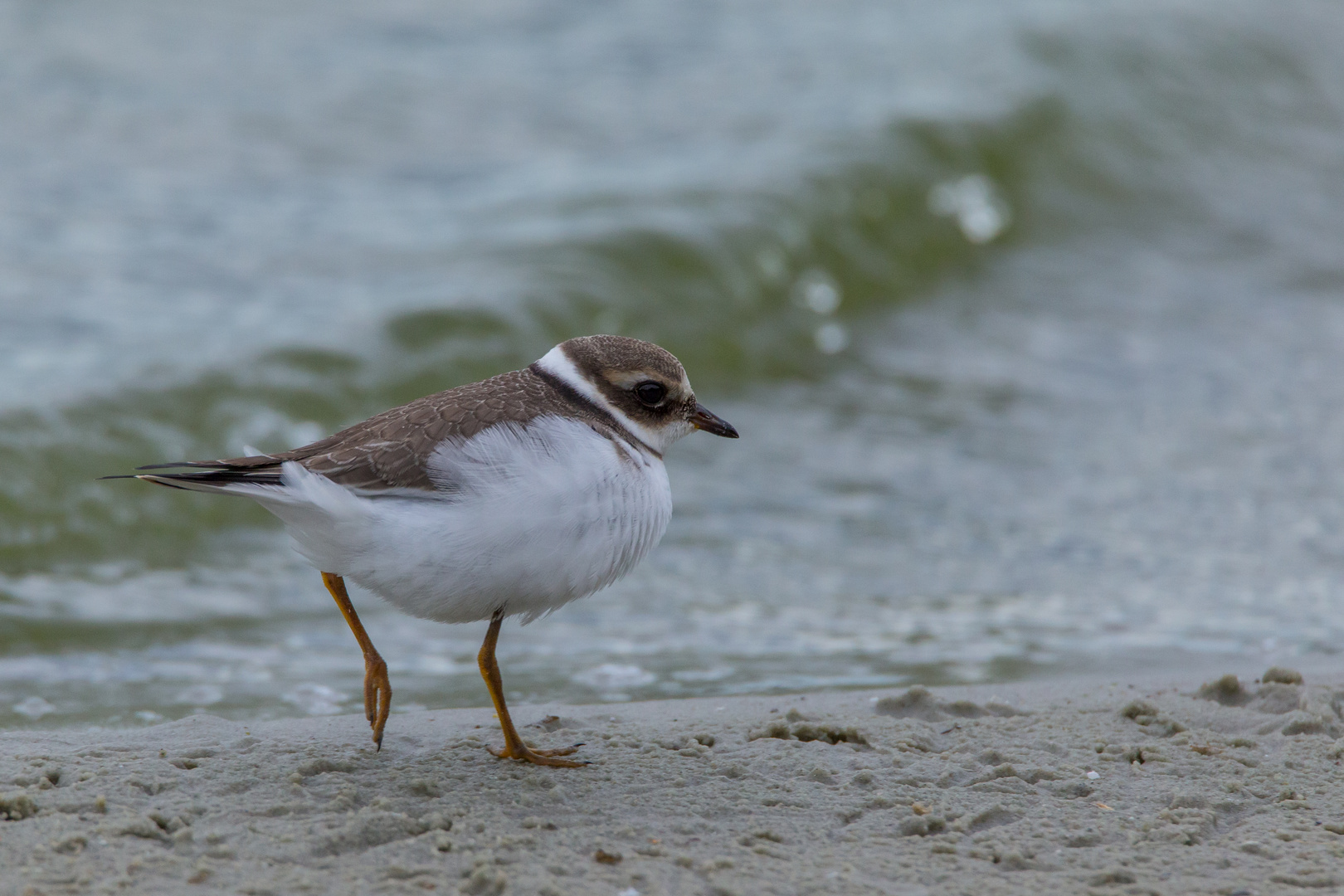 Strandspaziergang