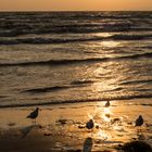 Strandspaziergang bei Sonnenaufgang 