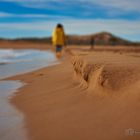 Strandspaziergang C1-D75_9836 2