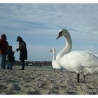 Strandspaziergang