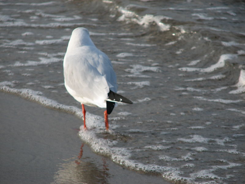 Strandspaziergang