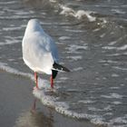 Strandspaziergang