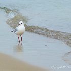 Strandspaziergang