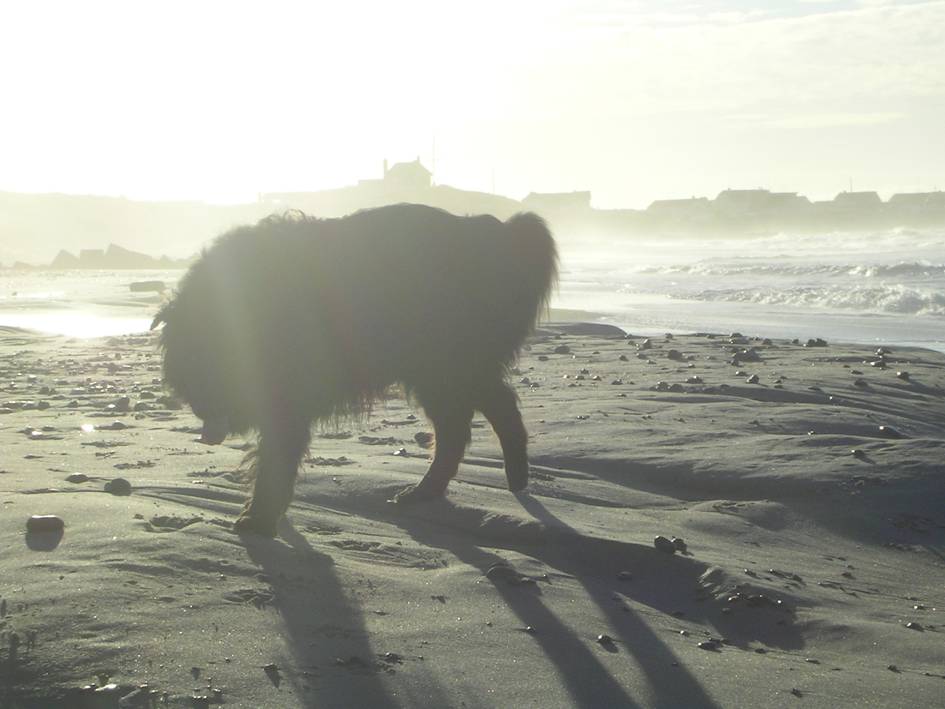 Strandspaziergang.