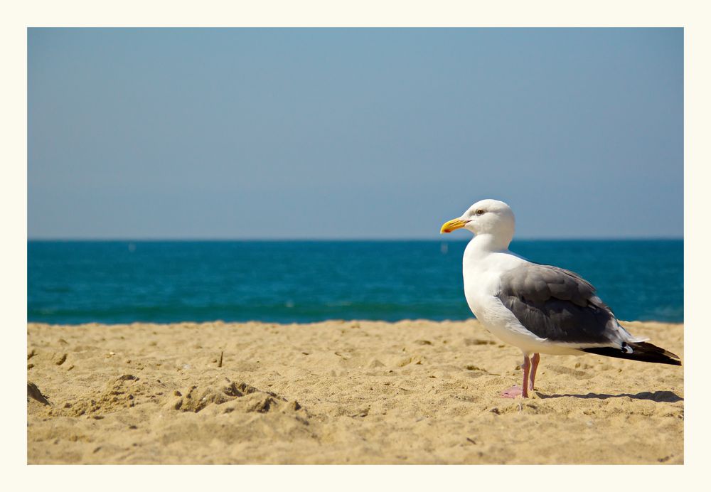 Strandspaziergang