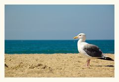 Strandspaziergang