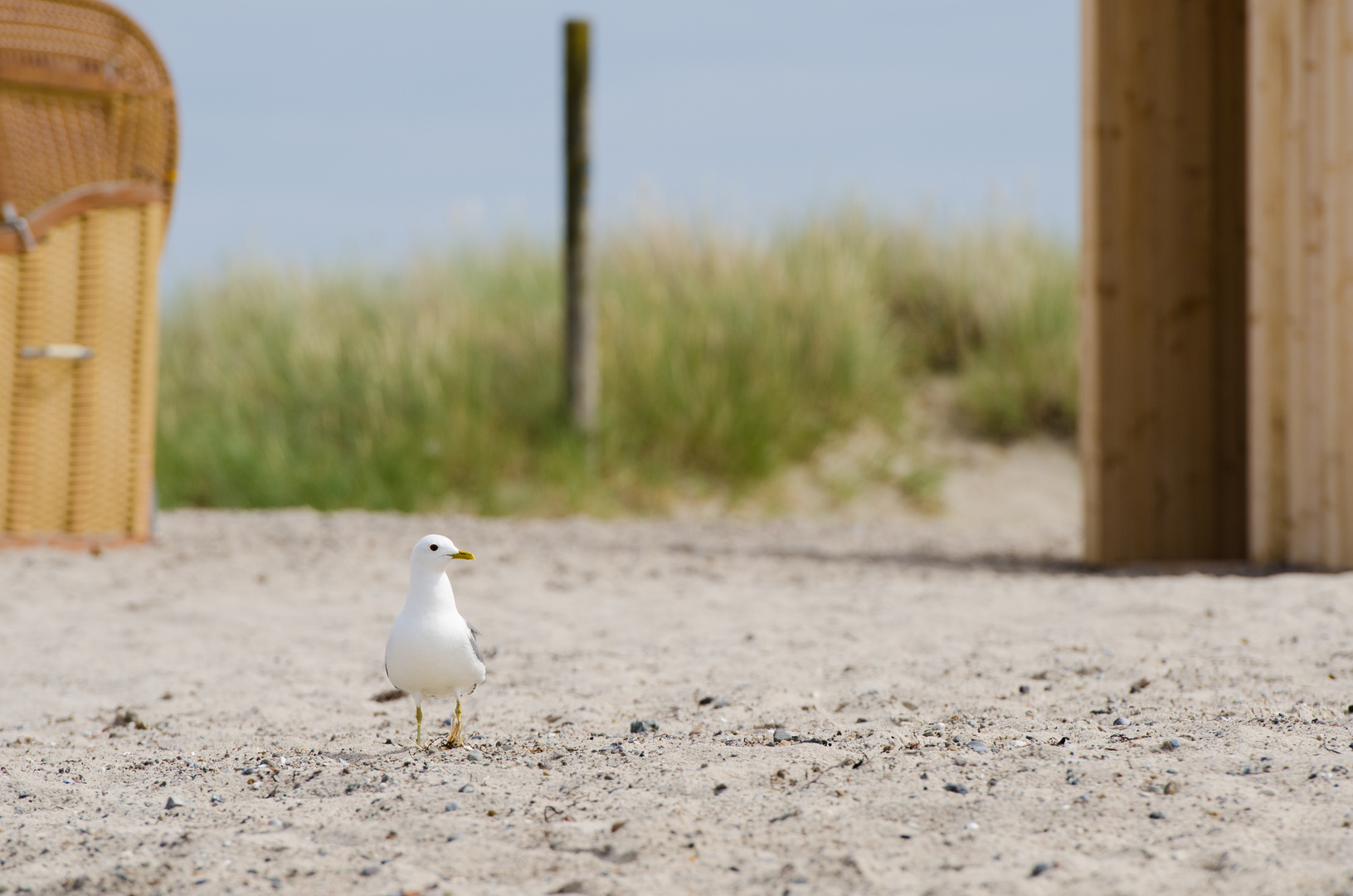 Strandspaziergang