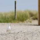 Strandspaziergang