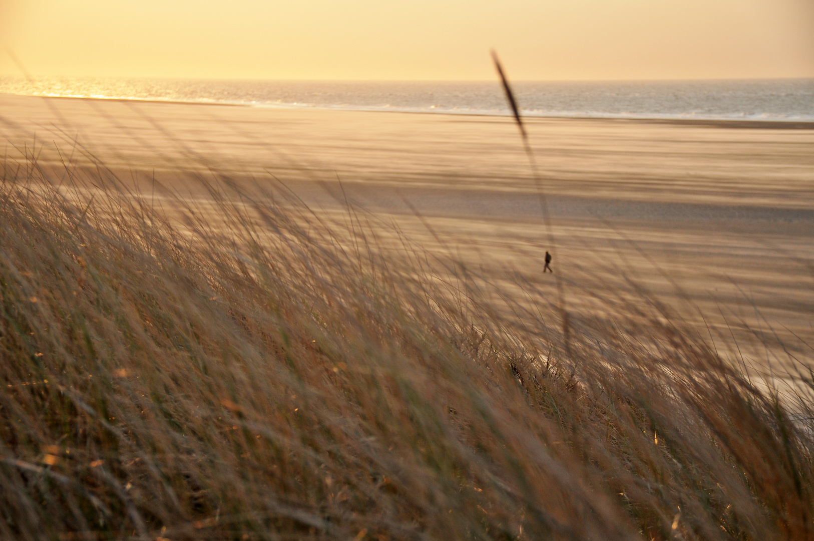 Strandspaziergang