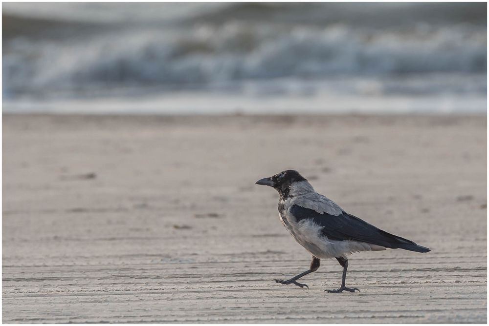 Strandspaziergang