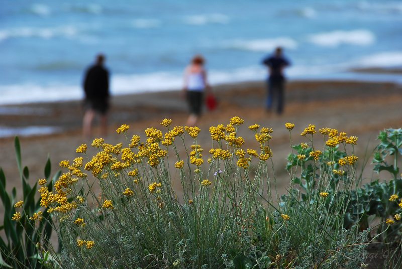 Strandspaziergang