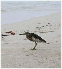 Strandspaziergang