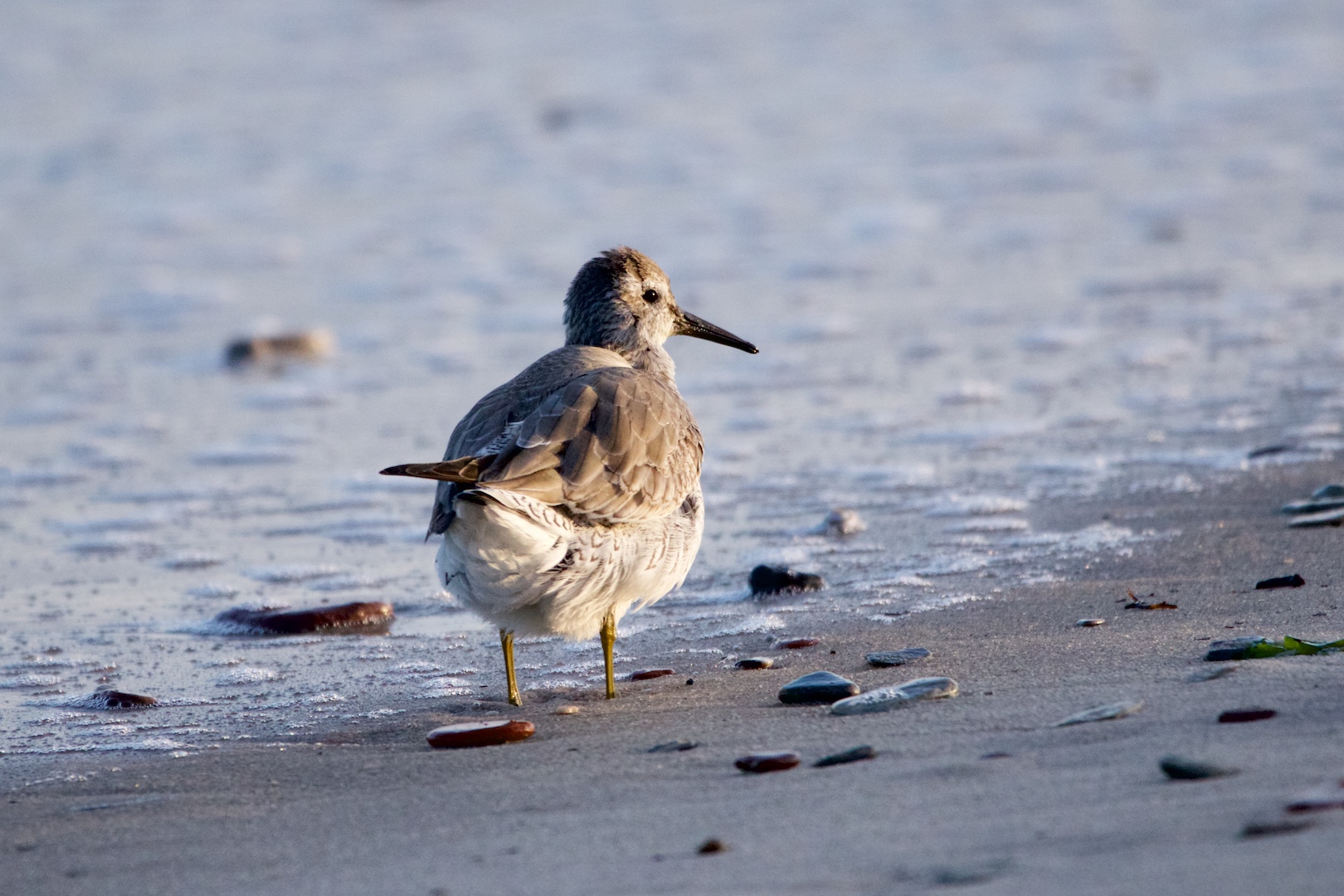 Strandspaziergang