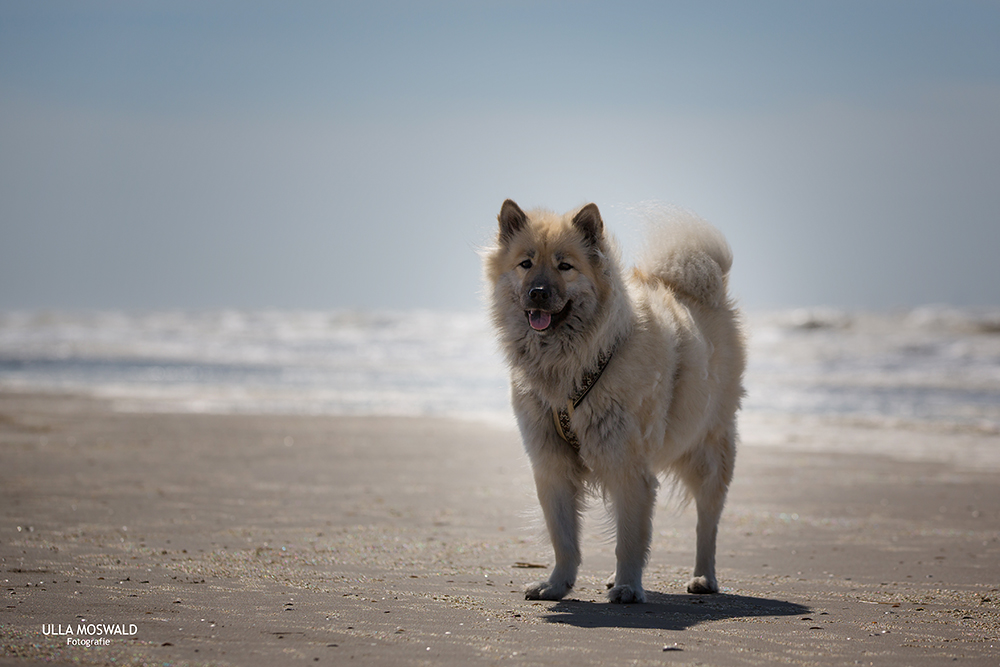 ...Strandspaziergang...