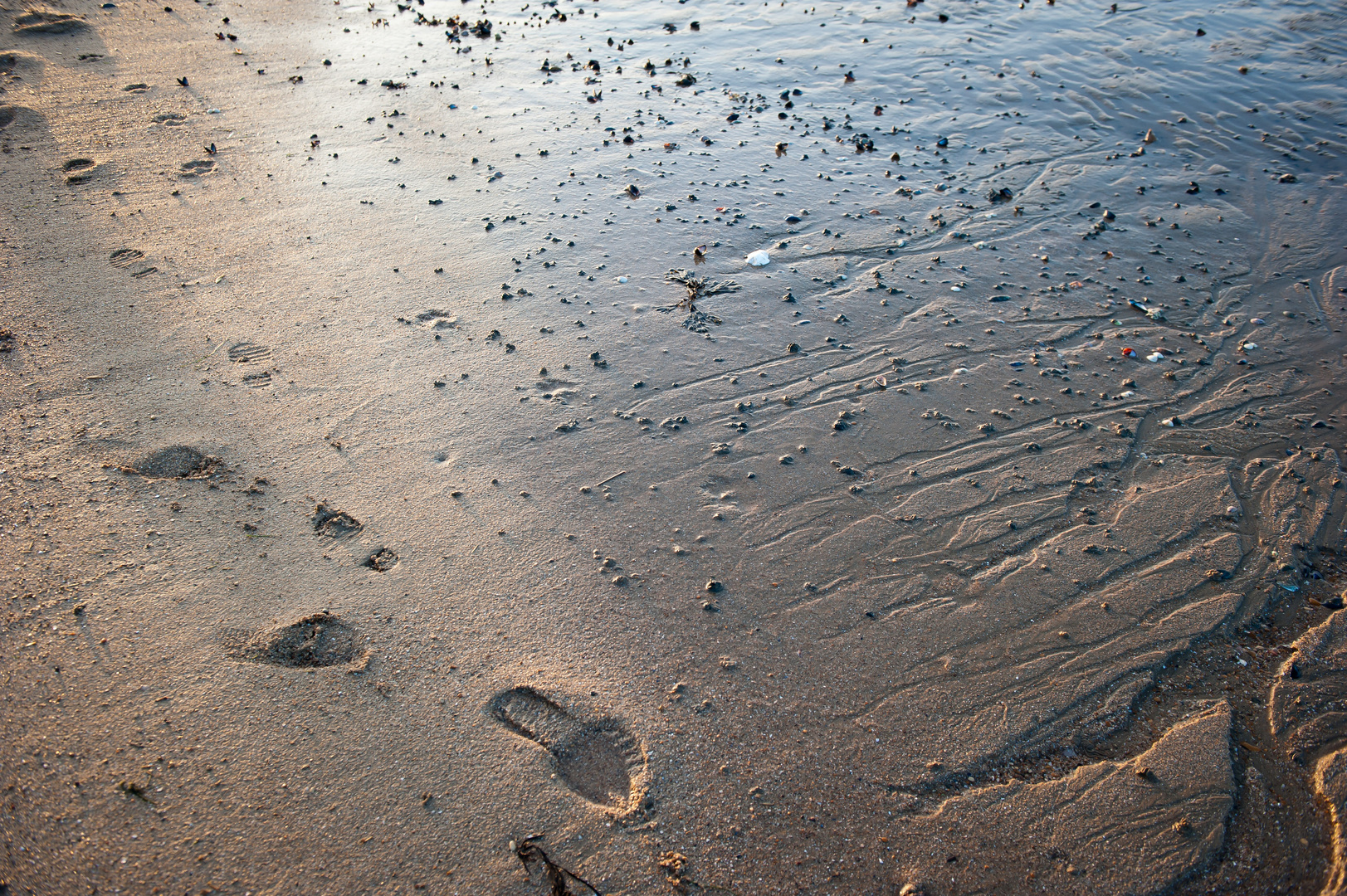 Strandspaziergang