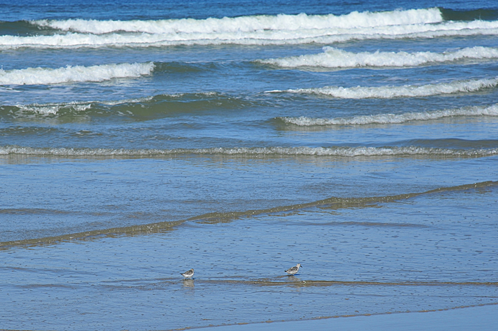 Strandspaziergang