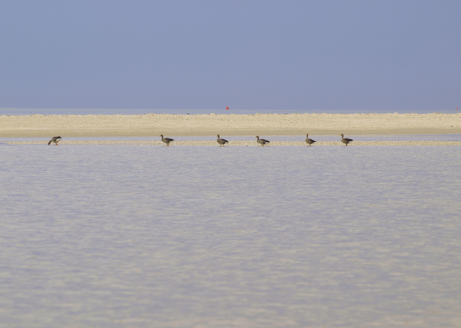 Strandspaziergang