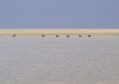 Strandspaziergang