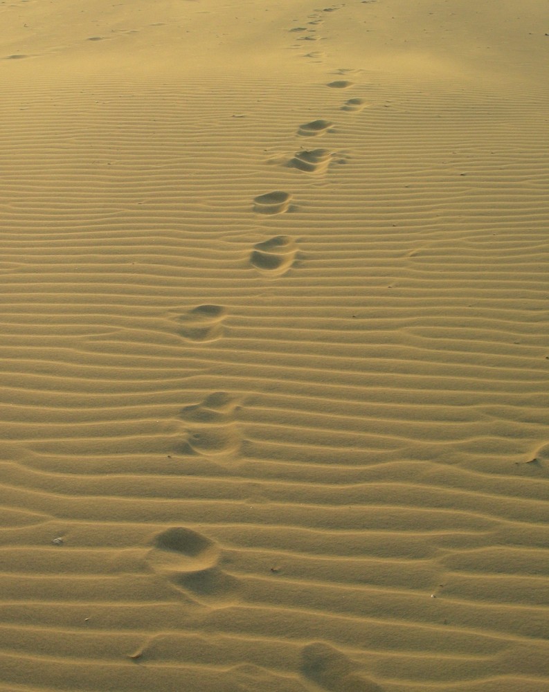 Strandspaziergang