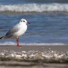 Strandspaziergang