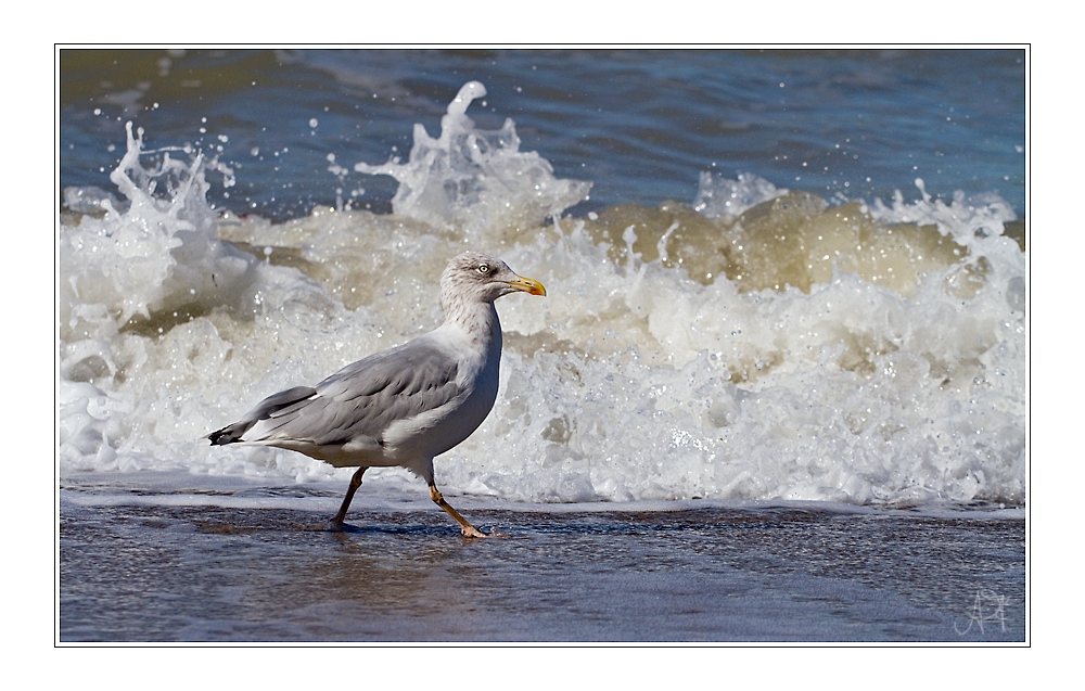 Strandspaziergang