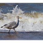 Strandspaziergang