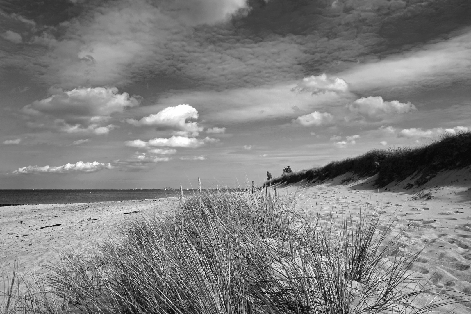 Strandspaziergang 