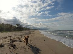 Strandspaziergang