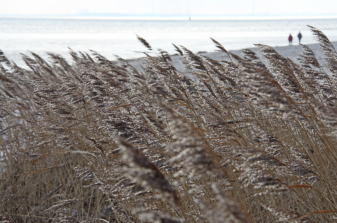 Strandspaziergang