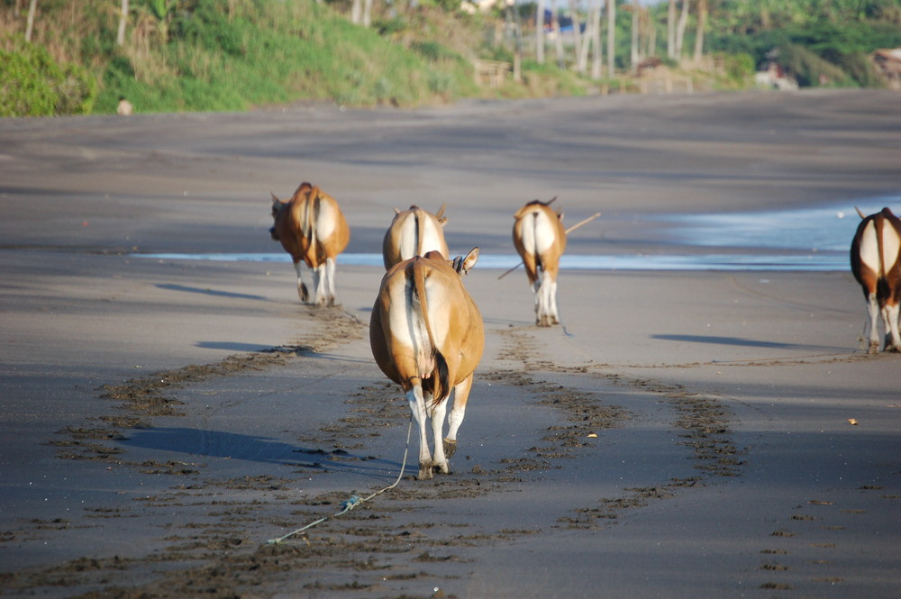 Strandspaziergang