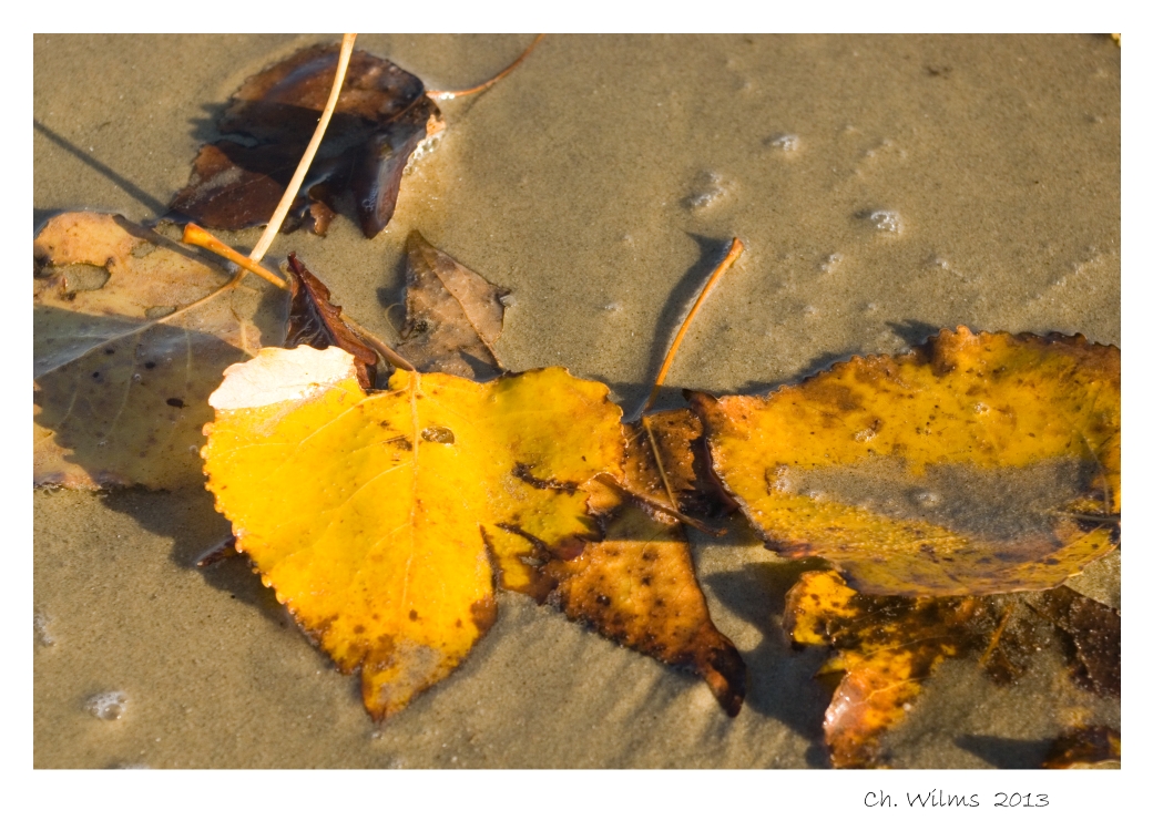 Strandspaziergang ,,,,,