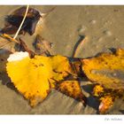 Strandspaziergang ,,,,,