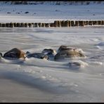 Strandspaziergang