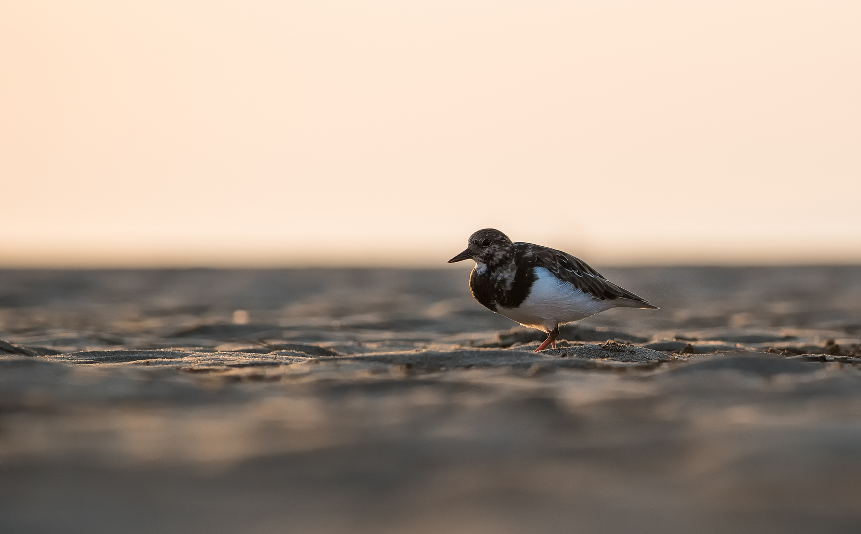 __strandspaziergang__