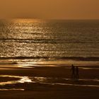 Strandspaziergang Frühjahr 2020....