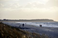 Strandspaziergang  Hiddensee 