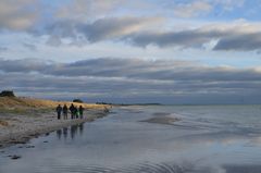 Strandspaziergang Hiddensee