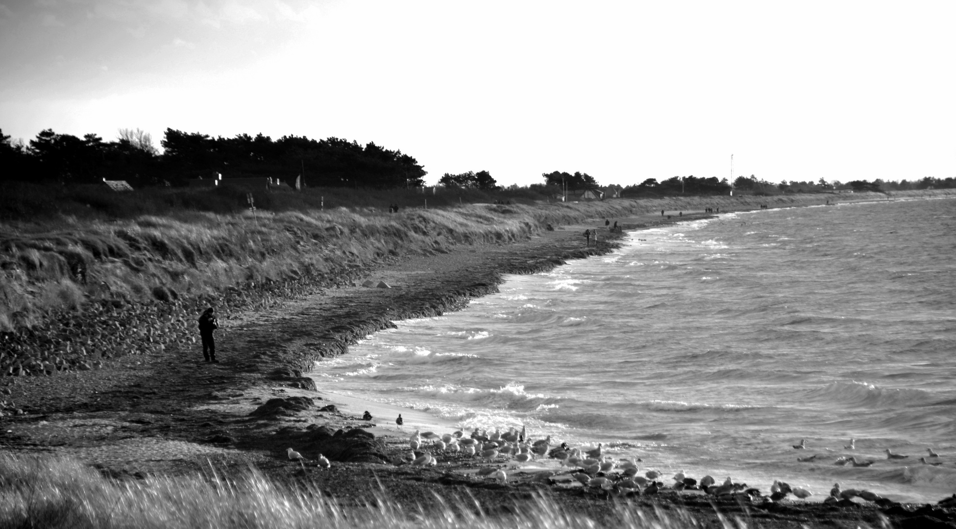 Strandspaziergang Hiddensee