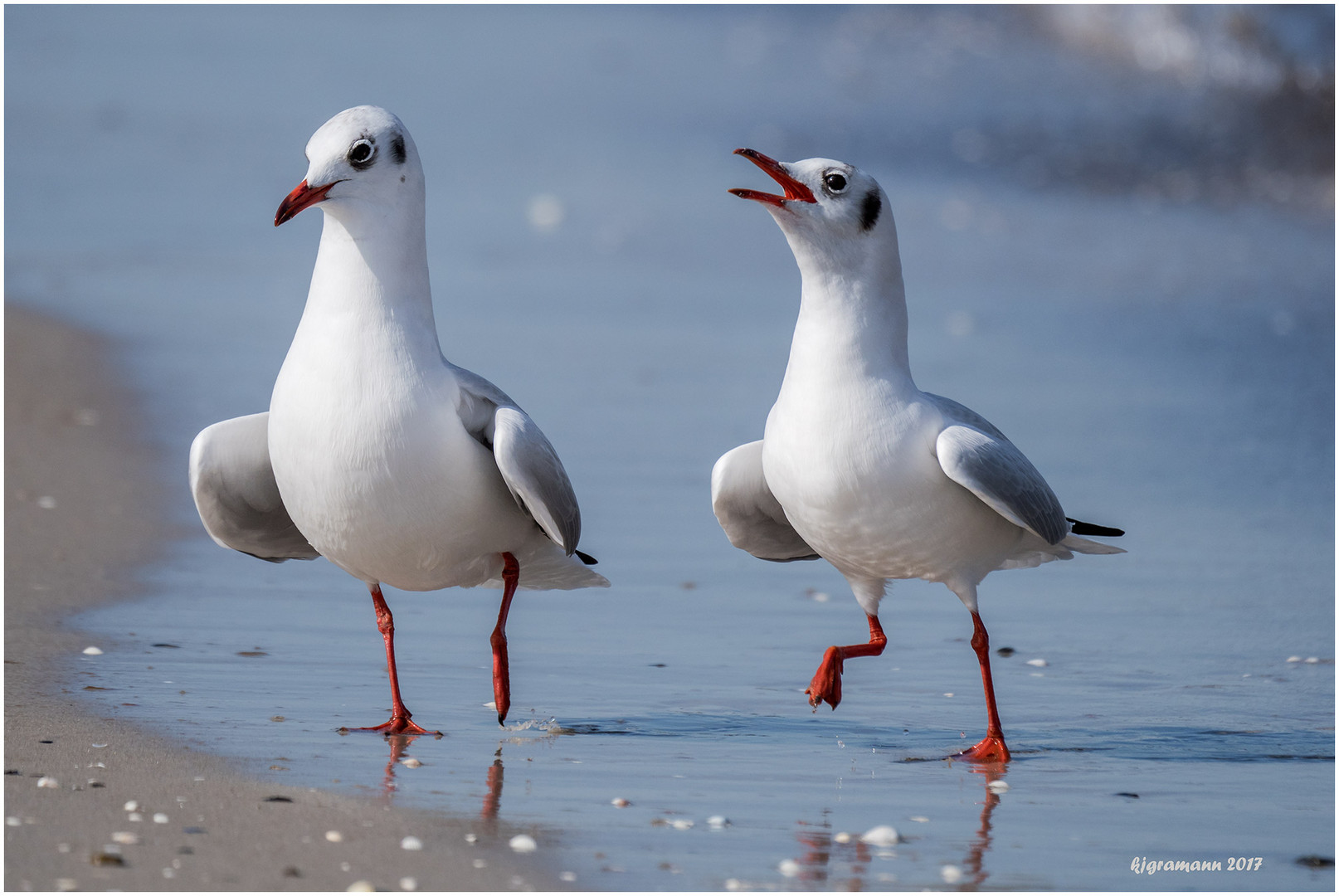 strandspaziergang I......