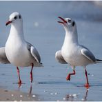 strandspaziergang I......