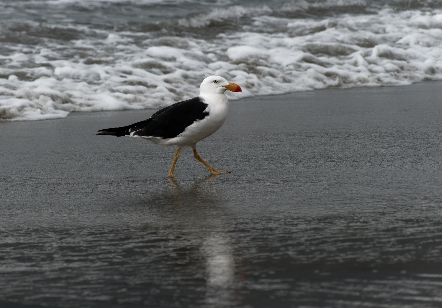 Strandspaziergang II