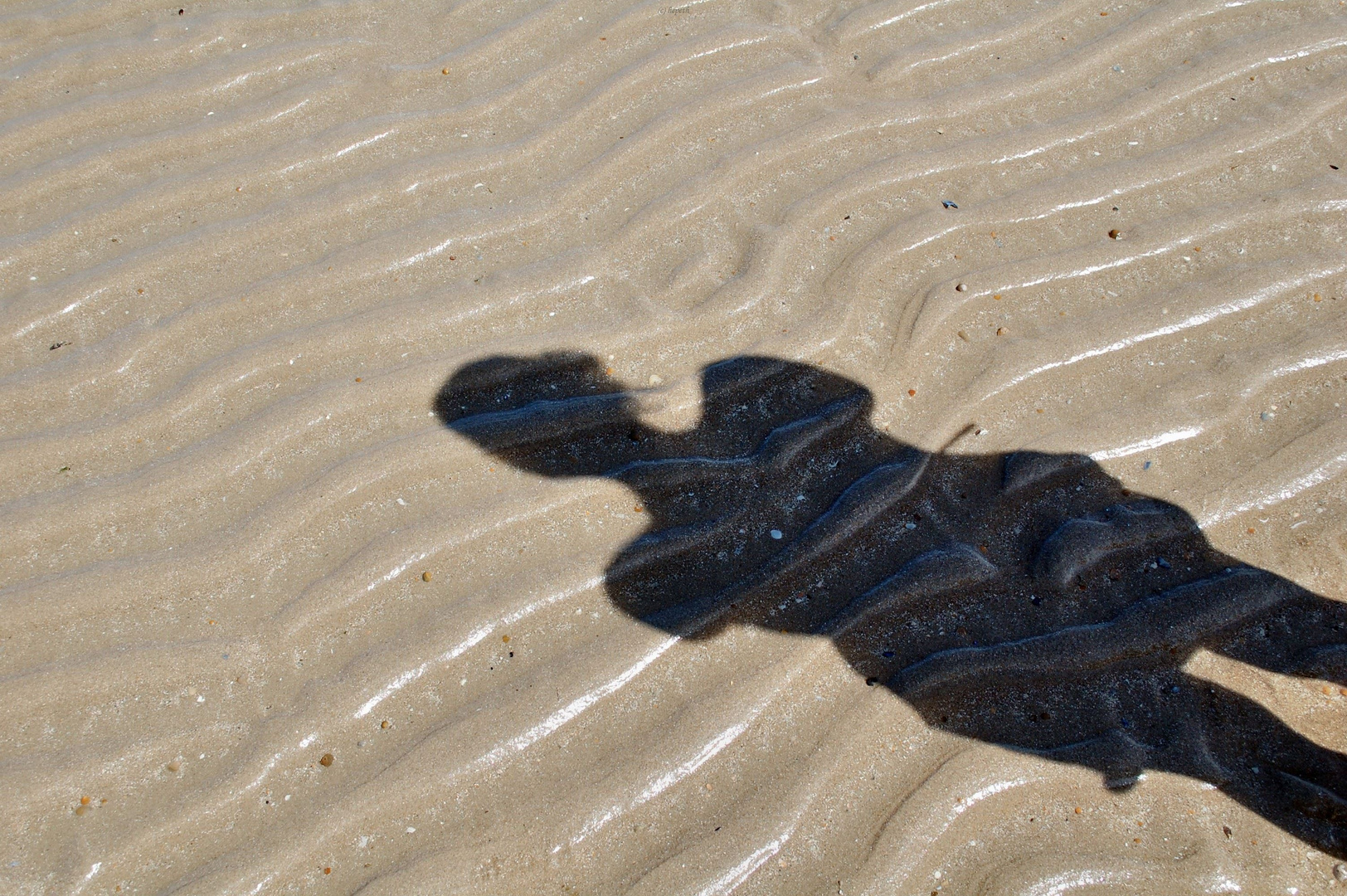 Strandspaziergang II