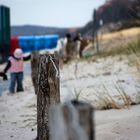 Strandspaziergang im Frühjahr