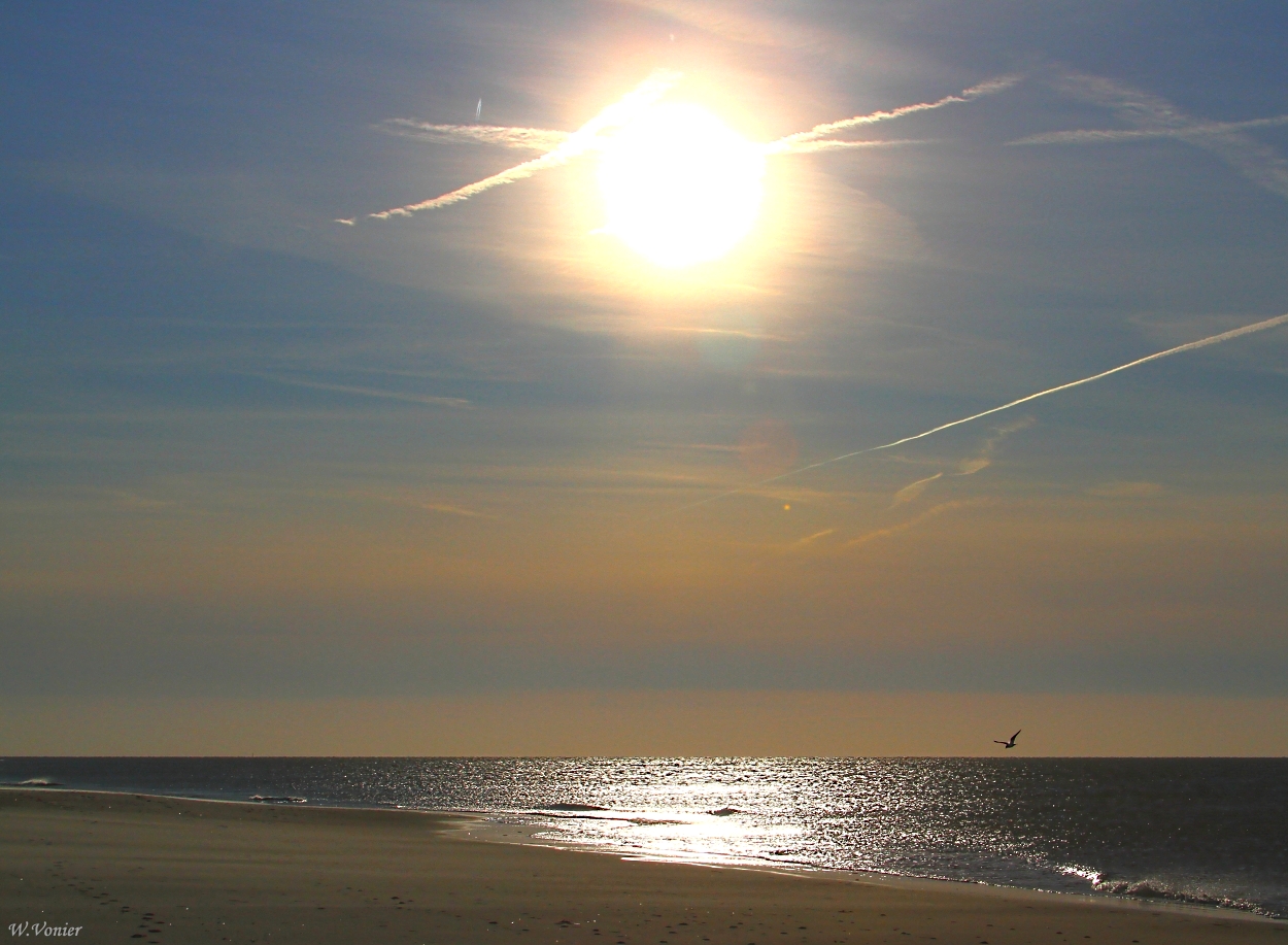 Strandspaziergang im Gegenlicht.